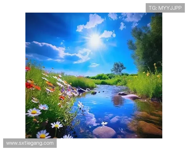 爱在阳光里：温暖、希望与生命的光辉